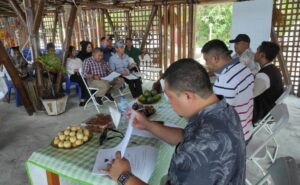 Meiddy Makalalag Gelar Sosialisasi Perda Lembaga Adat di Kota Kotamobagu